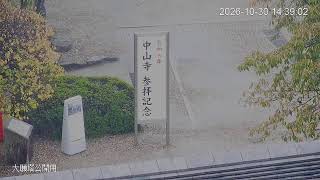 宝塚 live webcam