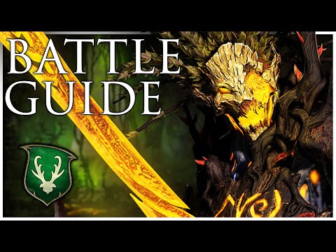 Wood Elves Immortal Empires Battle Guide | Total War Warhammer 3