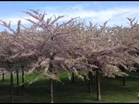 Programa Neusa Bighetti exibido no dia 25/05/2014 - Minuto Infinite