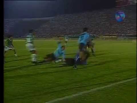 Palmeiras 5 x 1 Grêmio - Libertadores 1995