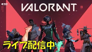 【初見大歓迎】ゲーミングマッスルの使い心地検証【valorant】