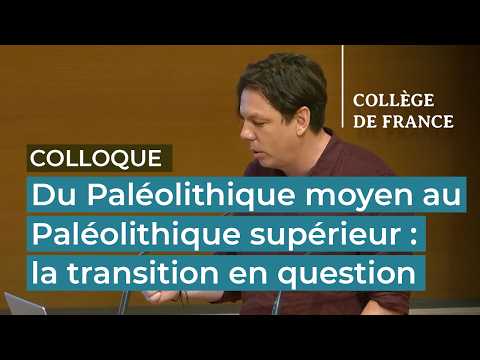 Du Paléolithique moyen au supérieur (3/9)