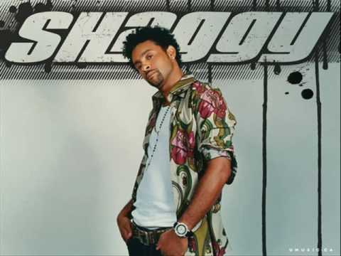 Shaggy - Get My Party On
