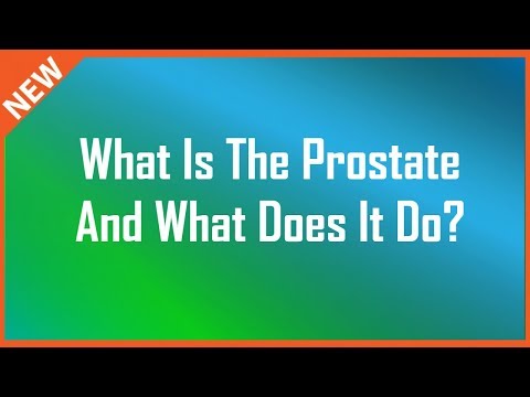 How to keep your prostate health
