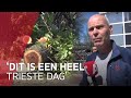 Honderd jaar oude bomen bij CS geveld door boomziekte