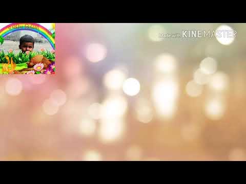 JAYDEEPvideo .Bhoomica happy birthday beautiful videos