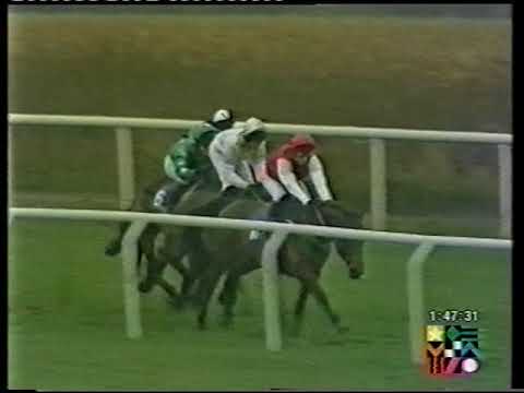 2000 E.B.F. / Crandon Park Stud Mares Only 'National Hunt' Novices' Hurdle (Qualifier)
