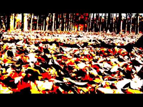 11 november by The Terrific Three