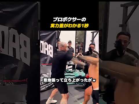 プロボクサーvs喧嘩自慢！残酷すぎる実力差が一瞬でわかる神カウンター🔥