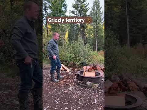 What happens when a grizzly bear comes into your camp? #grizzlybear #camping #northidaho