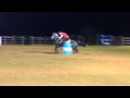 Urban Cowboy Aka Bud 9 Year Old Barrel Horse For Sale