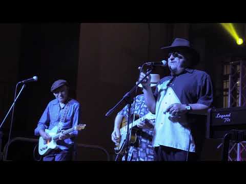 SUGAR RAY and THE BLUETONES feat. Duke Robillard & Alex Schultz - DON'T GET AROUND MUCH ANYMORE