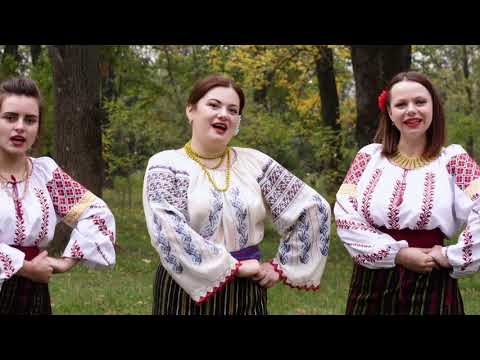 Ansamblul Folcloric "Altiţa"Asta horă-mi place mie