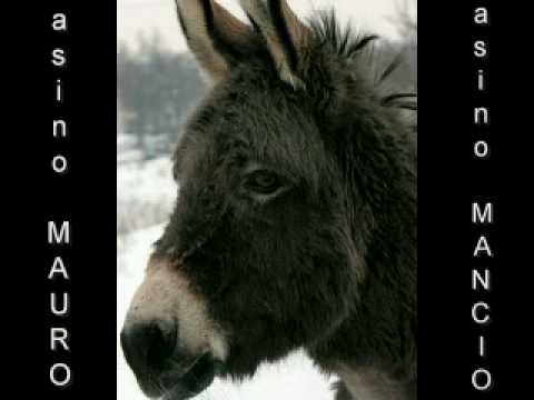 LITE MANCINI - MAURO a sky