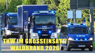 Download lagu 🔥 WALDBRAND 2026! THW-Kolonne unterstützt Großeinsatz im Müritz-Nationalpark | Blaulicht mp3 Download lagu 🔥 WALDBRAND 2026! THW-Kolonne unterstützt Großeinsatz im Müritz-Nationalpark | Blaulicht mp3