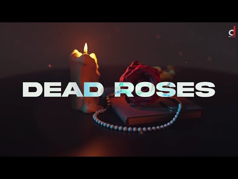 Dead Roses (Lyrical) — watch video