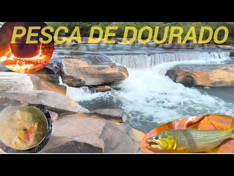 Pesca de dourados e trairões no rio Urucuia Minas gerais.