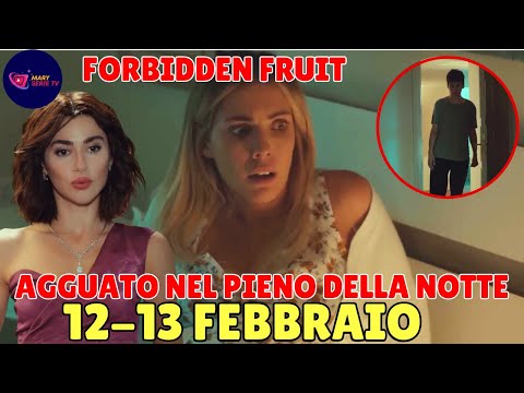 FORBIDDEN FRUIT 12-13 FEBBRAIO: SAHIKA MANIPOLA ERIM CHE STRANGOLA YLDIZ DI NOTTE, E HALIT DECIDE...