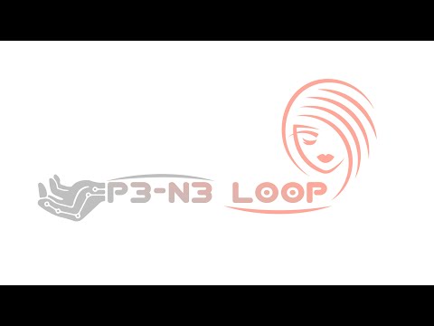 P3-N3 Loop analyse l’article de Sysol News