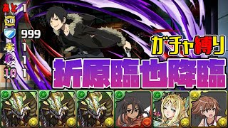 【パズドラガチャ縛り】久しぶりの正月ノルディスループ！折原臨也降臨をサクっと攻略！【ゆっくり実況】part.98
