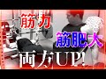 【筋トレ】筋力&筋肥大を同時に得るプログラムがこれだ!!!
