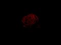 Arctic Monkeys Do I Wanna Know Slowed Reverb