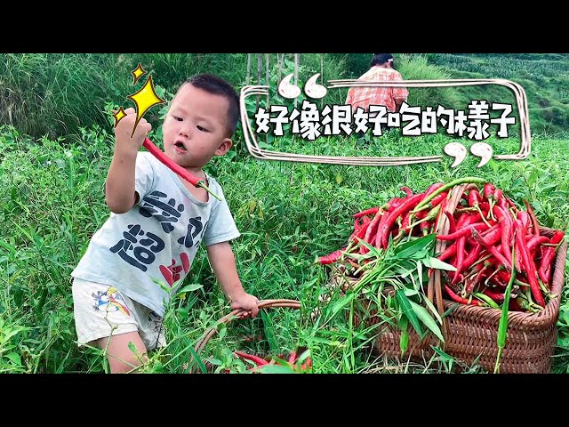Wymowa wideo od Xiaopan na Angielski