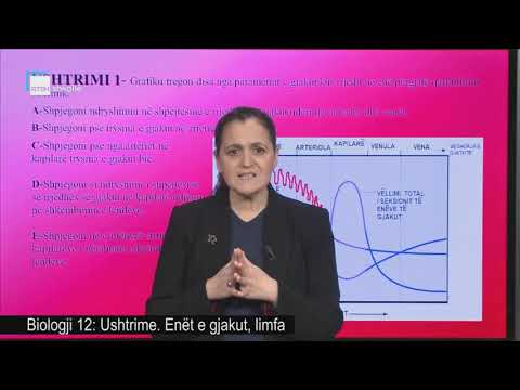 Biologji 12 - Ushtrime. Enët e gjakut, limfa.