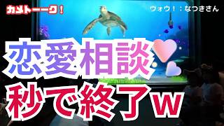 【爆笑】彼女との"のろけ話"を相談した結果…クラッシュが秒で終わらせたｗ【東京ディズニーシー・タートルトーク】