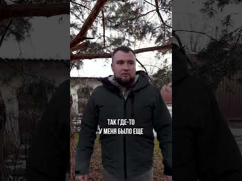 Как прикормить белок? #загородныйдом #белочки #белка