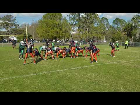 The Double Wing Offense in Youth Football