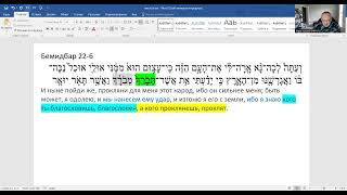 זרה שימשון - באלאק 1 - דמיטרי קלאשניק