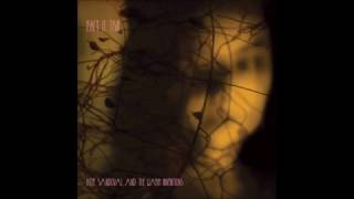 Hope Sandoval & The Warm Inventions - "She's In The Wall"