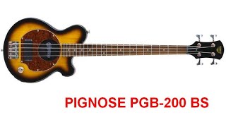 Video thumbnail for PIGNOSE PGB-200 BS by Валерий Сальников