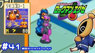 【初見実況#41  納豆がいく電脳世界　ロックマンエクゼ実況【納豆】