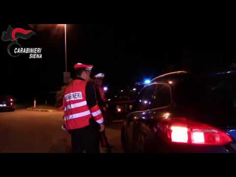 Cocaina nascosta nei boschi e spacciata tra Siena e Arezzo: smantellata la rete