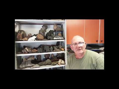 2023 13 Mostra Bonsai Suiseki Catanzaro