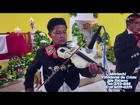 Mariachi Viñadores de Cristo de Tacana San Marcos Tel: 3712-5188o al 4129-0275