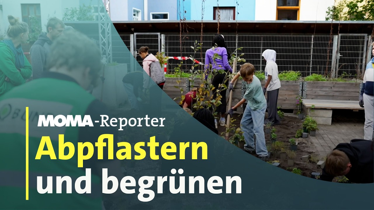 MOMA-Reporter: Abpflastern - Steine entfernen in Bremen | ARD Morgenmagazin