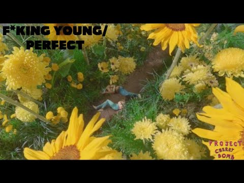 F*king young/Perfect, but it might change your life