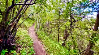 Summer walk #calgary #alberta #canada #fishcreek