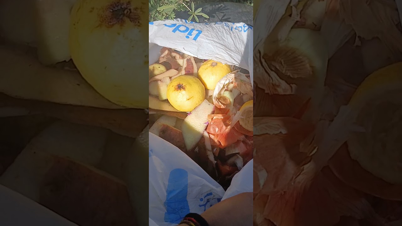 Alimentos que atesoro ♻️