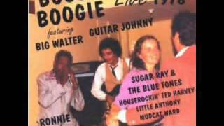 Johnny Nicholas & Texas all Star- Boogie Back to Texas (Got Calirofnia Blues)