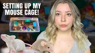HOW I SET UP MY MOUSE CAGES! by Emma Lynne Sampson