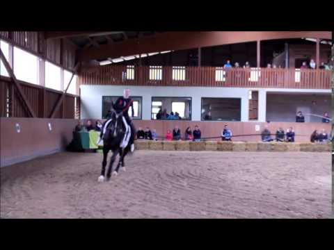 Pflicht WL II Molzbach 2014