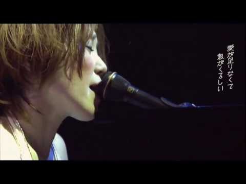 【live】byrd  / EGO-WRAPPIN' (日本語訳字幕付)