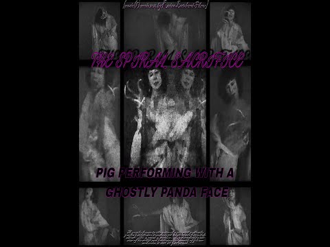 The Spiral Sacrifice: Pig Performing with a Ghostly Panda Face [2024]