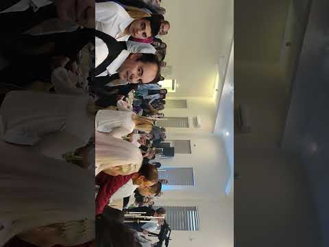 PUNOLETSTVO DIMITRIJE PAVLOVIĆ   1.        VLAOLE  9.11.2024