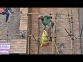 Indian Construction Workers Climbing A Wall