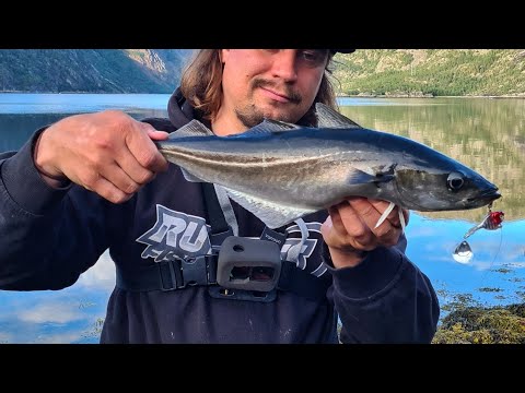 KALASTETAAN NORJASSA | KALASTUS ILMAISTA MERELLÄ | TÄHÄN KAIKKI VÄLINEET SOPIVAT